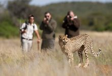 d8a2d8bad8a7d8b2 d8b1d988db8cd8afd8a7d8af d8a7daa9d988d8aad988d8b1db8cd8b3d985 d8addb8cd8a7d8aa d988d8add8b4 daafd8b1d8afd8b4daafd8b1 65a6490ebaeac