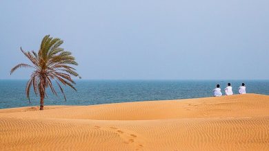 d8a2d985d8a7d8afdaafdb8c d981d8b9d8a7d984d8a7d986 daafd8b1d8afd8b4daafd8b1db8c d8b3d988d8a7d8add984 d985daa9d8b1d8a7d986 d8a8d8b1d8a7 65a483345bb31