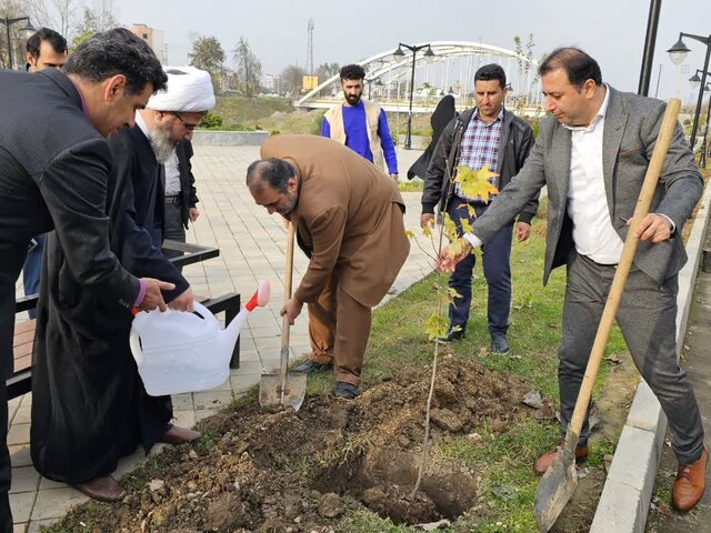 آملیها با کاشت نهال به استقبال برنامههای چهل ودومین سالگرد حماسه ششم بهمن رفتند 3 آملیها با کاشت نهال به استقبال برنامههای چهل ودومین سالگرد حماسه ششم بهمن رفتند
