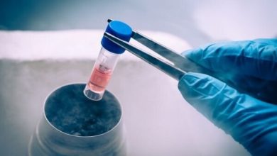 d8a2d986da86d987 d8afd8aed8aad8b1d8a7d986 d8a8d8a7db8cd8af d8afd8b1d8a8d8a7d8b1d987 d981d8b1db8cd8b2 d8aad8aed985daa9 d8a8d8af 65a497aa194cb