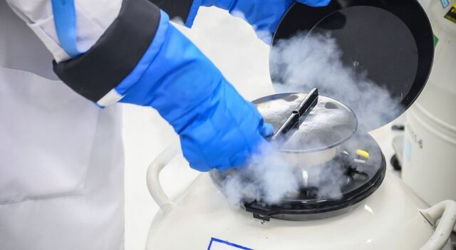 آنچه دختران باید درباره «فریز تخمک» بدانند/ تخمک فریزشده تا چه زمان ماندگاری دارد؟ 3 آنچه که زنان باید درباره «فریز تخمک» بدانند / تخمک فریز شده تا چه زمان ماندگاری دارد؟