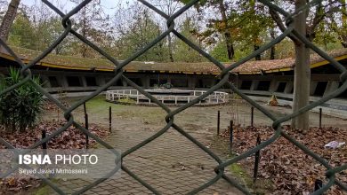 d8a2daa9d988d8a7d8b1db8cd988d985 d8a8d988d8b3d8aad8a7d986 d985d984d8aad88c d8bad8b1d982 d8afd8b1 d8b3daa9d988d8aadb8c d9bed8b1 d987db8c 65a48fdfa0215