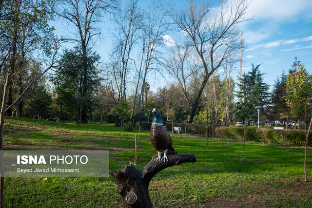 آکواریوم بوستان ملت، غرق در سکوتی پر هیاهو
