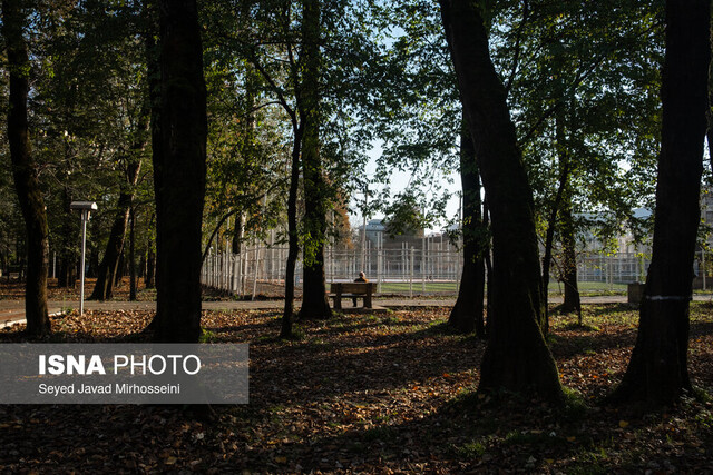 آکواریوم بوستان ملت، غرق در سکوتی پر هیاهو