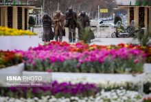 d8a2db8cd8a7 d985d8aad988d984db8cd8a7d986 daafd8b1d8afd8b4daafd8b1db8c d986d982d8b4 d8aed988d8af d8b1d8a7 d8afd8b1 d981d8b1d987d986daaf 65a63b9a77095