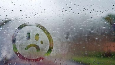 آیا هر گرفتگی خلق در این فصل ناشی از تغییرات فصلی است؟ 13 d8a2db8cd8a7 d987d8b1 daafd8b1d981d8aadaafdb8c d8aed984d982 d8afd8b1 d8a7db8cd986 d981d8b5d984 d986d8a7d8b4db8c d8a7d8b2 d8aad8badb8c 65a4a0b0604bd