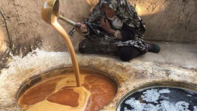 آیین ثبت ملی «حلوای جوزی» در شهر بایگ شهرستان تربت حیدریه برگزار شد 13 d8a2db8cdb8cd986 d8abd8a8d8aa d985d984db8c d8add984d988d8a7db8c d8acd988d8b2db8c d8afd8b1 d8b4d987d8b1 d8a8d8a7db8cdaaf d8b4d987 65a6672e73e98