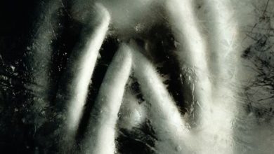 «اختلالات روانی» عمر را ۱۰ تا ۲۰ سال میتواند کم کند 4 d8a7d8aed8aad984d8a7d984d8a7d8aa d8b1d988d8a7d986db8c d8b9d985d8b1 d8b1d8a7 dbb1dbb0 d8aad8a7 dbb2dbb0 d8b3d8a7d984 d985db8c 65a50dee552d3