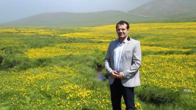 اردبیل در گردشگری بینالمللی، مقصد ناشناخته است 2 d8a7d8b1d8afd8a8db8cd984 d8afd8b1 daafd8b1d8afd8b4daafd8b1db8c d8a8db8cd986d8a7d984d985d984d984db8cd88c d985d982d8b5d8af d986d8a7 65a65d886a91f