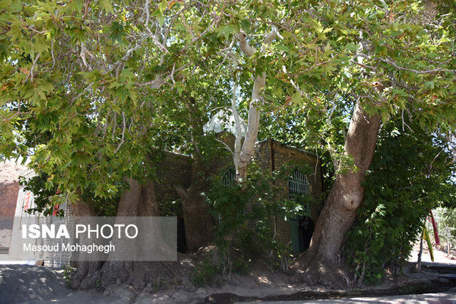 "ارمیان" زیبا و پرجاذبه اما ناشناخته 3 بقعه ارمیای نبی-ارمیان میامی