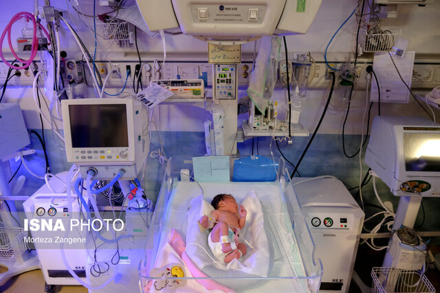 از «عدم» تا «باغ فردوس»؛ پایان یک سفر ۹ ماهه 9 از «عدم» تا «باغ فردوس»؛ پایان یک سفر ۹ ماهه