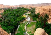 d8a7d8b4d8aad8a8d8a7d987 d986daa9d986db8cd8af d8a7db8cd986d8acd8a7 d8b4d985d8a7d984 d986db8cd8b3d8aad89b d988d8b3d8b7 daa9d988db8cd8b1 65a81fcddb861