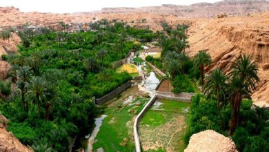 اشتباه نکنید اینجا شمال نیست؛ وسط کویر است 6 d8a7d8b4d8aad8a8d8a7d987 d986daa9d986db8cd8af d8a7db8cd986d8acd8a7 d8b4d985d8a7d984 d986db8cd8b3d8aad89b d988d8b3d8b7 daa9d988db8cd8b1 65a81fcddb861