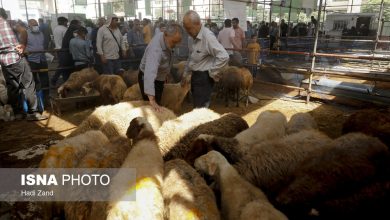 اعلام روشهای مشارکت مردم در پویش «نذر قربانی» 12 d8a7d8b9d984d8a7d985 d8b1d988d8b4d987d8a7db8c d985d8b4d8a7d8b1daa9d8aa d985d8b1d8afd985 d8afd8b1 d9bed988db8cd8b4 d986d8b0 65a5753a5486d