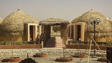 افزایش ۲۱ درصدی اقامت مسافران نوروزی در استان کرمان 12 d8a7d981d8b2d8a7db8cd8b4 dbb2dbb1 d8afd8b1d8b5d8afdb8c d8a7d982d8a7d985d8aa d985d8b3d8a7d981d8b1d8a7d986 d986d988d8b1d988d8b2db8c d8af 65a6355febf02