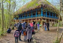 d8a7d982d8a7d985d8aa dbb5 d985db8cd984db8cd988d986 d986d981d8b1 d8b4d8a8 daafd8b1d8afd8b4daafd8b1d8a7d986 daafdb8cd984d8a7d986 d8afd8b1 65a52630c781b