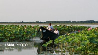 d8a7d982d8a7d985d8aa dbb7 d985db8cd984db8cd988d986 d986d981d8b1d8b4d8a8 d985d8b3d8a7d981d8b1 d8afd8b1 d985d8b1d8a7daa9d8b2 d8a7d982d8a7 65a4c4c97baf4