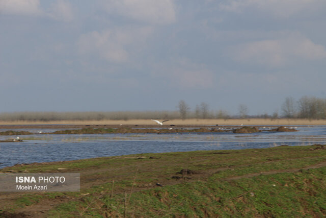 الزامات دیده نشده برای توسعه متوازن در استان گیلان 4 الزامات دیده نشده برای توسعه متوازن در استان گیلان