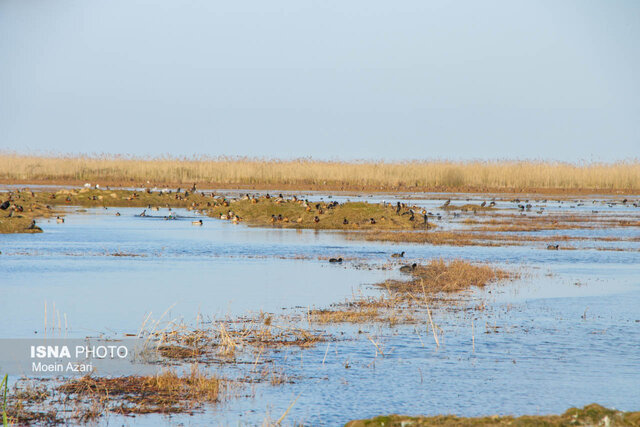 الزامات دیده نشده برای توسعه متوازن در استان گیلان 7 الزامات دیده نشده برای توسعه متوازن در استان گیلان