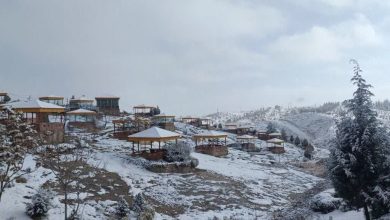 انجام اقدامات لازم برای جلوگیری از خسارت سرمازدگی در منطقه گردشگری "هفت حوض" مشهد 8 d8a7d986d8acd8a7d985 d8a7d982d8afd8a7d985d8a7d8aa d984d8a7d8b2d985 d8a8d8b1d8a7db8c d8acd984d988daafdb8cd8b1db8c d8a7d8b2 d8aed8b3d8a7 65a65cee7e6c8