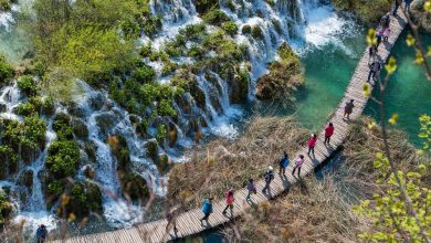 اکوتوریسم در ایران مغفول مانده است 4 d8a7daa9d988d8aad988d8b1db8cd8b3d985 d8afd8b1 d8a7db8cd8b1d8a7d986 d985d8bad981d988d984 d985d8a7d986d8afd987 d8a7d8b3d8aa 65a6687c83c06