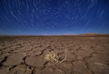 d8a7daafd8b1 d8a8d987 d8afd986d8a8d8a7d984 d8a2d8b1d8a7d985d8b4 d987d8b3d8aadb8cd8af db8cdaa9 d8a8d8a7d8b1 d987d985 d8b4d8afd987 d8b3 65a81b80d4a6f