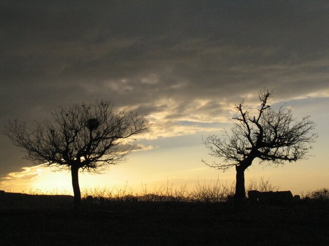 اگر به دنبال آرامش هستید یک بار هم شده سری به کویر بزنید 
