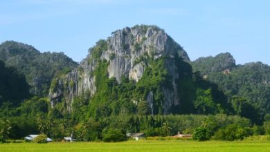 ایالت پرلیس قلب جاذبههای طبیعی مالزی 1 d8a7db8cd8a7d984d8aa d9bed8b1d984db8cd8b3 d982d984d8a8 d8acd8a7d8b0d8a8d987d987d8a7db8c d8b7d8a8db8cd8b9db8c d985d8a7d984d8b2db8c 65a7fe7d23816