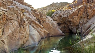 ایجاد تعادل در مشهد فلسفه توسعه هفتحوض است 4 d8a7db8cd8acd8a7d8af d8aad8b9d8a7d8afd984 d8afd8b1 d985d8b4d987d8af d981d984d8b3d981d987 d8aad988d8b3d8b9d987 d987d981d8aad8ad 65a66ab2f1dc0