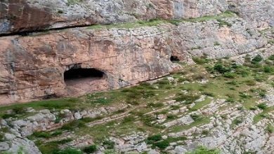 ایجاد موزه در حاشیه غار ۲۳۰ هزار ساله گیلان 2 d8a7db8cd8acd8a7d8af d985d988d8b2d987 d8afd8b1 d8add8a7d8b4db8cd987 d8bad8a7d8b1 dbb2dbb3dbb0 d987d8b2d8a7d8b1 d8b3d8a7d984d987 daafdb8c 65a669db36c11