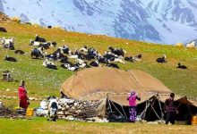 d8a7db8cd8acd8a7d8af daa9d8a7d986d988d986d987d8a7db8c d8abd8a7d8a8d8aa daafd8b1d8afd8b4daafd8b1db8c d8b9d8b4d8a7db8cd8b1 d8afd8b1 65a64609669e1