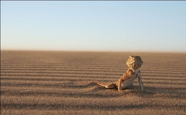 اینجا ستارهها نزدیکترند 3 اینجا ستارهها نردیکترند