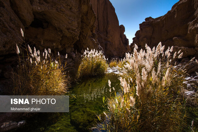 اینجا هیجان و آرامش را با هم تجربه می‌کنید 