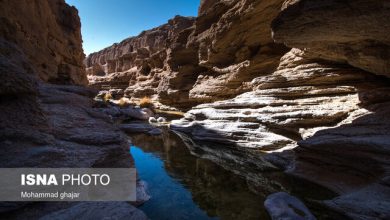 با مشارکت بخش خصوصی اتفاقات جدیدی در حوزه گردشگری در راه است 1 d8a8d8a7 d985d8b4d8a7d8b1daa9d8aa d8a8d8aed8b4 d8aed8b5d988d8b5db8c d8a7d8aad981d8a7d982d8a7d8aa d8acd8afdb8cd8afdb8c d8afd8b1 d8add988 65a4dd5c766f0