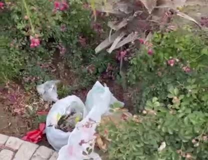 بابلسر، محوریترین منطقه گردشگری مازندران بدون زیرساخت رفاهی 3 بابلسر، محوریترین منطقه گردشگری مازندران بدون زیرساخت رفاهی