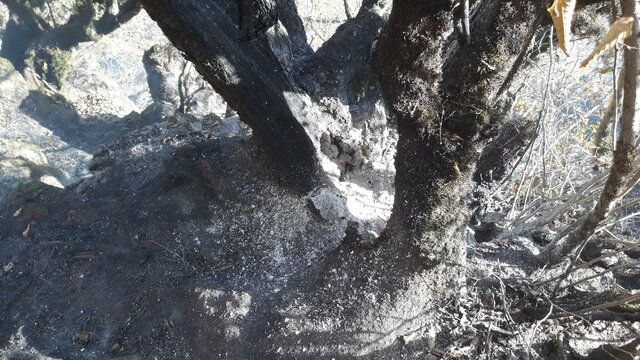 باز باران!‏