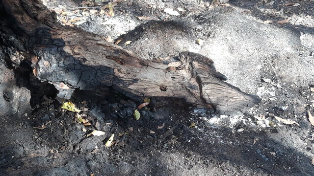 باز باران!‏