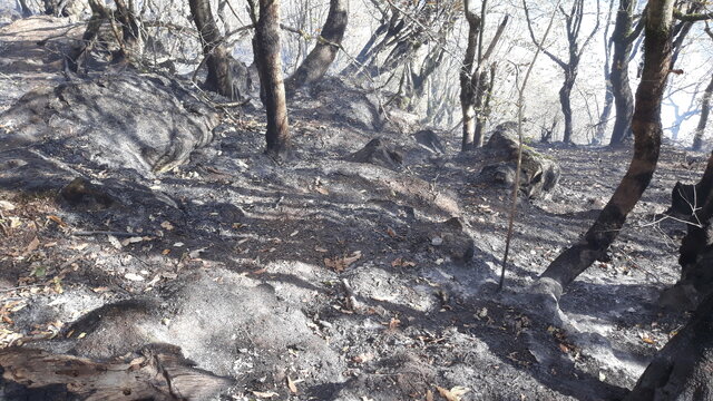 باز باران!‏