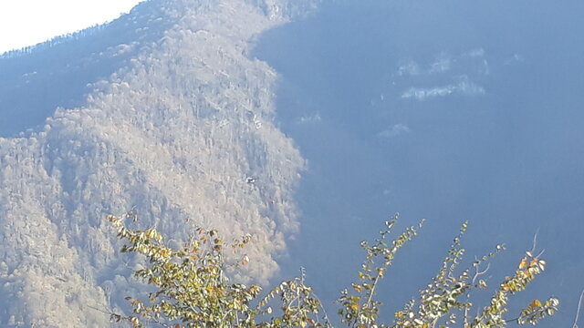 باز باران!‏