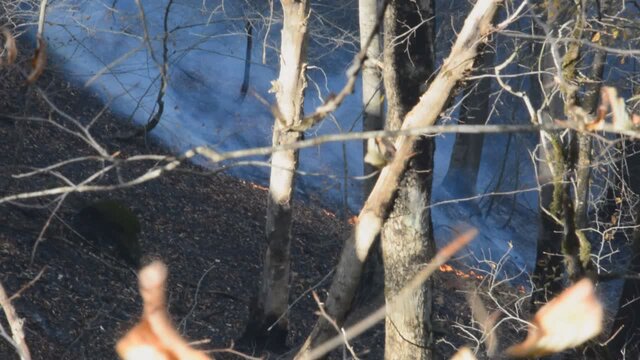 باز باران!‏