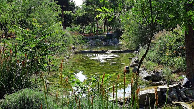 بازار داغ گردشگری مشهد