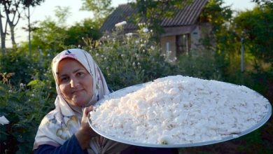 بازدید سالانه ۵۰۰۰ گردشگر از گلابگیری گیلده شفت 7 d8a8d8a7d8b2d8afdb8cd8af d8b3d8a7d984d8a7d986d987 dbb5dbb0dbb0dbb0 daafd8b1d8afd8b4daafd8b1 d8a7d8b2 daafd984d8a7d8a8daafdb8cd8b1db8c 65a50d8c55a7e