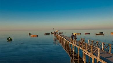 بازدید ۲۵۰۰۰ گردشگر از بنادر «ترکمن» و «گز» در گلستان 2 d8a8d8a7d8b2d8afdb8cd8af dbb2dbb5dbb0dbb0dbb0 daafd8b1d8afd8b4daafd8b1 d8a7d8b2 d8a8d986d8a7d8afd8b1 d8aad8b1daa9d985d986 d988 65a8203997af6