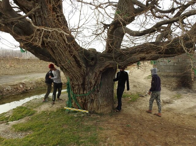 بازگشت جانی دوباره به کالبد گردشگری، صنایع دستی و میراث فرهنگی استان مرکزی 4 بازگشت جانی دوباره به کالبد گردشگری، صنایع دستی و میراث فرهنگی استان مرکزی