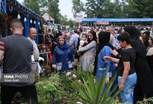 d8a8d8b1daafd8b2d8a7d8b1db8c dbb7 d8acd8b4d986d988d8a7d8b1d987 daa9d8b4d8a7d988d8b1d8b2db8c daafdb8cd984d8a7d986 d8afd8b1 d8a7d8b1d8af 65a51fd4dab9b