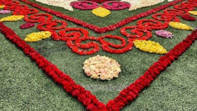 بزرگترین فرش سَرگُل خاورمیانه در محلات پهن میشود 6 d8a8d8b2d8b1daafd8aad8b1db8cd986 d981d8b1d8b4 d8b3d98ed8b1daafd98fd984 d8aed8a7d988d8b1d985db8cd8a7d986d987 d8afd8b1 d985d8add984d8a7 65a67617be122