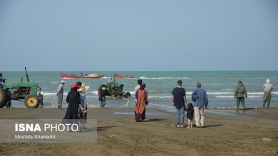 بسیج خدمات مازندران برای ارائه به گردشگران 8 d8a8d8b3db8cd8ac d8aed8afd985d8a7d8aa d985d8a7d8b2d986d8afd8b1d8a7d986 d8a8d8b1d8a7db8c d8a7d8b1d8a7d8a6d987 d8a8d987 daafd8b1d8afd8b4 65a4e0d13ee46