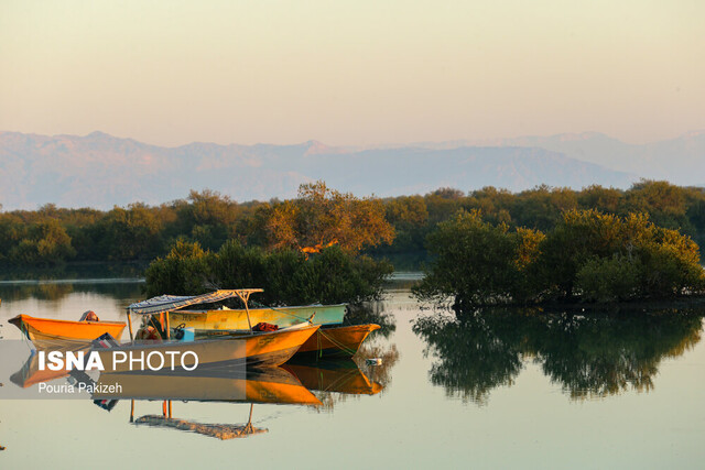 بهترین ماه‌های سال برای سفر به جنگل‌های حرا