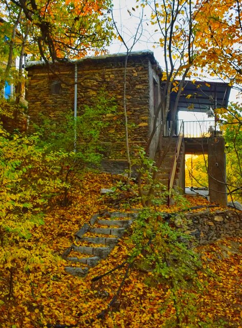 «بیساران»؛ بهشت زمینی کردستان