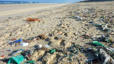 تاثیر گردشگری بر محیط زیست 5 d8aad8a7d8abdb8cd8b1 daafd8b1d8afd8b4daafd8b1db8c d8a8d8b1 d985d8addb8cd8b7 d8b2db8cd8b3d8aa 65a63b33e0d69